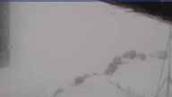 20160404_110001.jpg 
