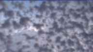 20170109_084003.jpg 
