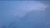 20170302_060004.jpg 
