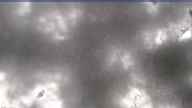 20170417_100003.jpg 

