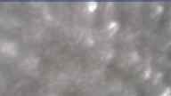 20170501_142004.jpg 
