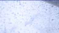 20170513_050003.jpg 
