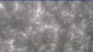 20170604_100004.jpg 
