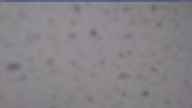 20191212_084001.jpg 