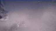 20200326_150001-1.jpg 