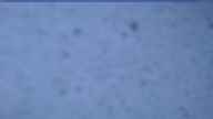 20200413_052002.jpg 