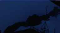 20200519_042002.jpg 