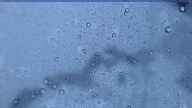 20211109_062005.jpg 