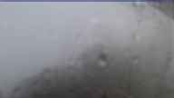 20220628_060005.jpg 