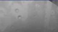 20220803_140002.jpg 