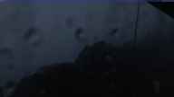 20220818_050002.jpg 