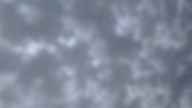 20221127_080001.jpg 