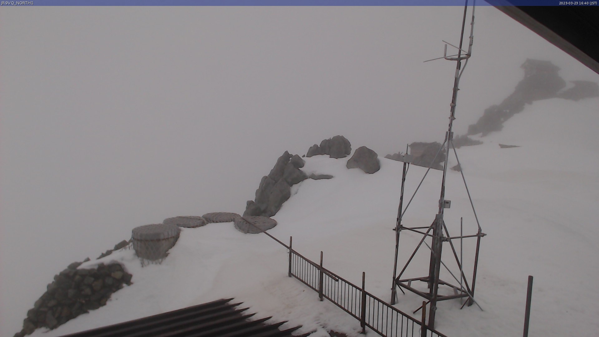 live camera picture
