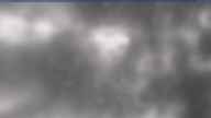 20230317_110001.jpg 