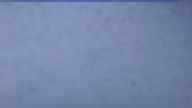 20230406_054001.jpg 