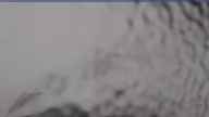 20230406_130001.jpg 