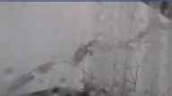 20230407_060002.jpg 