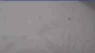 20230408_164002.jpg 