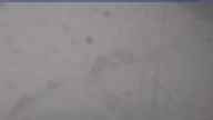 20230408_172002.jpg 