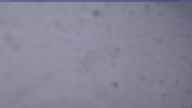 20230408_174001.jpg 