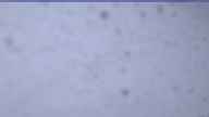 20230408_180002.jpg 