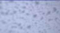 20230409_054002.jpg 