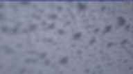 20230409_060002.jpg 