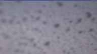20230409_080001.jpg 