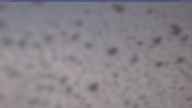 20230409_082002.jpg 