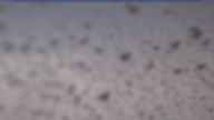 20230409_084001.jpg 