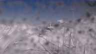 20230409_094002.jpg 