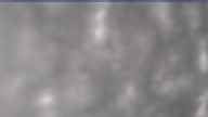 20230416_170001.jpg 