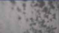 20230418_104002.jpg 