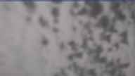 20230418_110002.jpg 