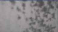 20230418_112002.jpg 