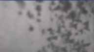 20230418_114002.jpg 