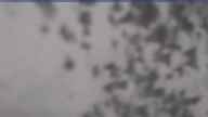 20230418_124001.jpg 