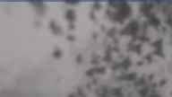 20230418_130002.jpg 