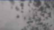 20230418_134002.jpg 