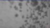 20230418_160001.jpg 