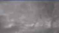 20230419_110002.jpg 