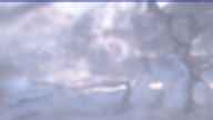 20230420_052002.jpg 