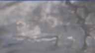 20230420_060001.jpg 