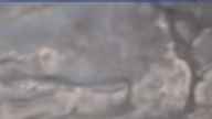 20230420_080002.jpg 
