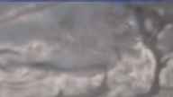 20230420_094002.jpg 