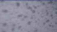 20230426_054002.jpg 