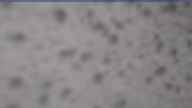 20230426_060002.jpg 