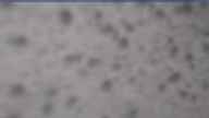 20230426_064001.jpg 