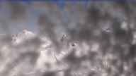 20230427_092002.jpg 