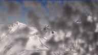 20230427_094001.jpg 